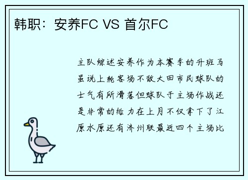 韩职：安养FC VS 首尔FC